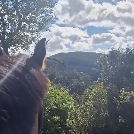 Шале Tiny House Loul Algarve No1 *