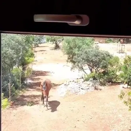 Tiny House Loul Algarve No1 * Лоле