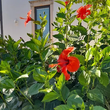 Tiny House Loul Algarve No1 Alpesi faház Loulé