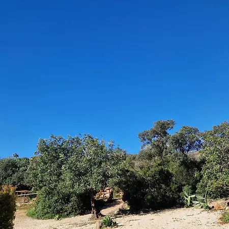 Tiny House Loul Algarve No1 Лоле