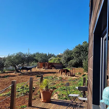 Tiny House Loul Algarve No1 Loulé