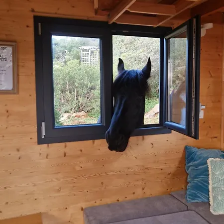 Tiny House Loul Algarve No1 *