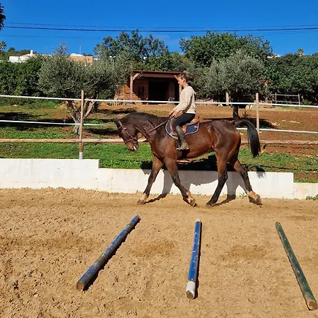 Tiny House Loul Algarve No1 Horská chata *